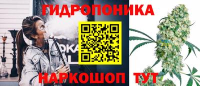 дурь Новозыбков