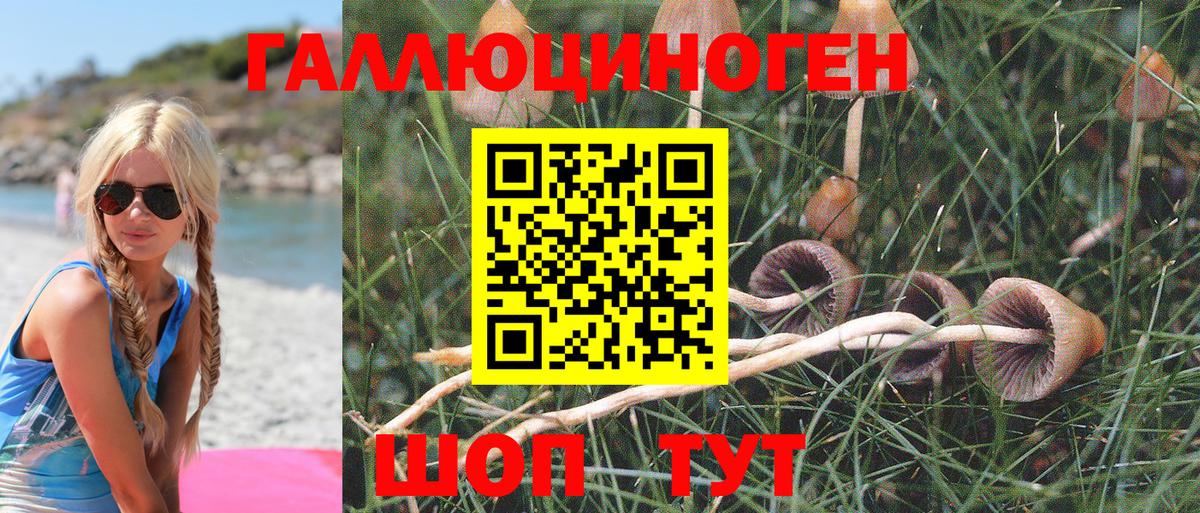 Галлюциногенные грибы Psilocybe Тольятти